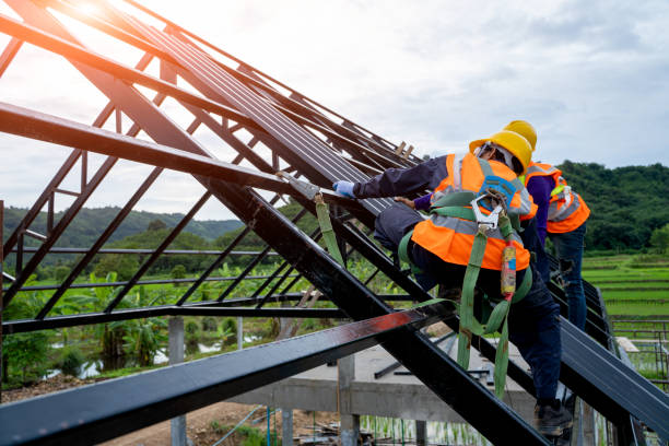 Best Roof Gutter Cleaning  in Cibolo, TX